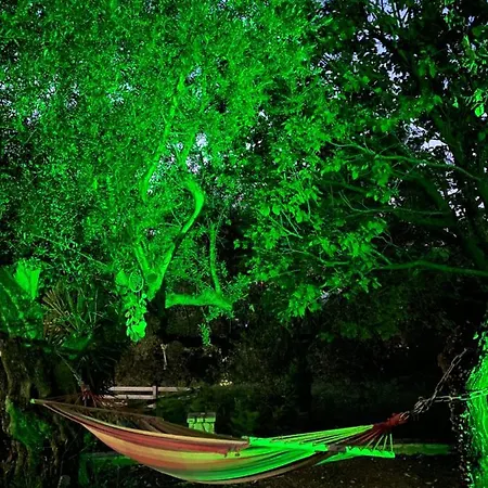 Endless Seaview B דירה אליקס