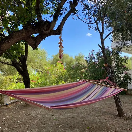 Endless Seaview B אליקס