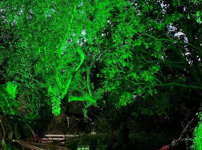 Endless Seaview B Lejlighed Alykes (Zakynthos)